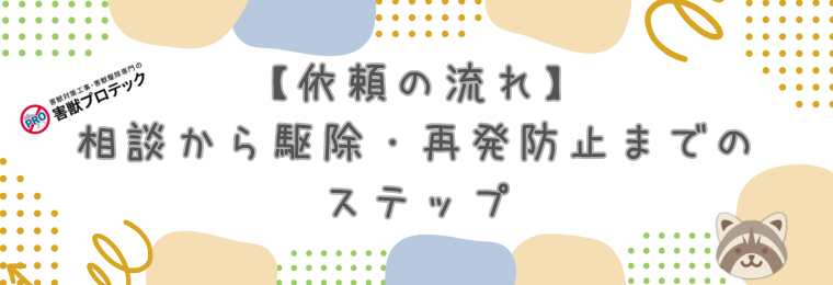 【依頼の流れ】相談から駆除・再発防止までのステップ