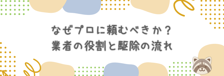 なぜプロに頼むべきか？業者の役割と駆除の流れ
