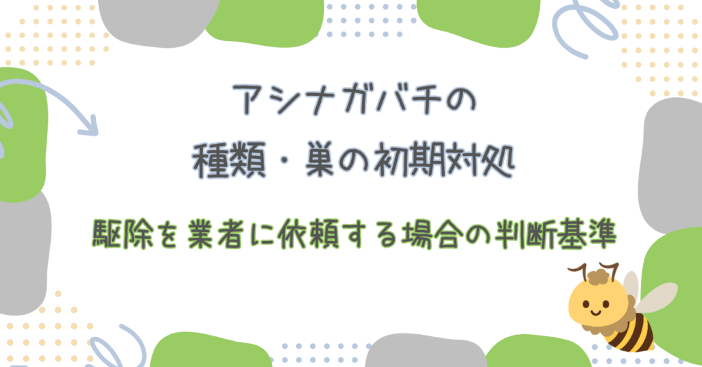 アシナガバチの種類・巣の初期対処から駆除を業者に依頼する場合の判断基準