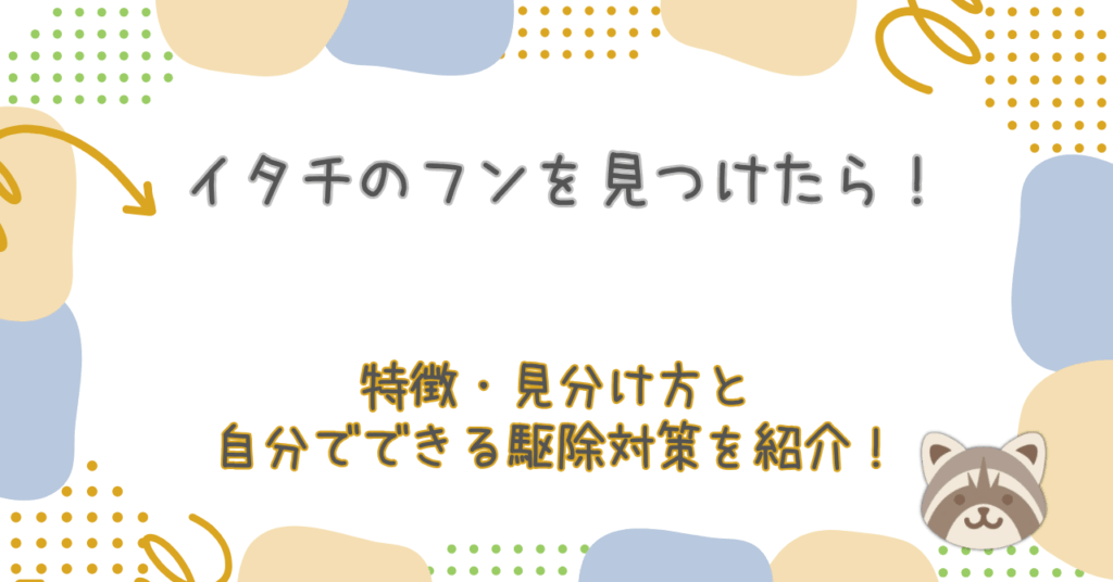 イタチのフンを見つけたら！特徴・見分け方と自分でできる駆除対策を紹介！