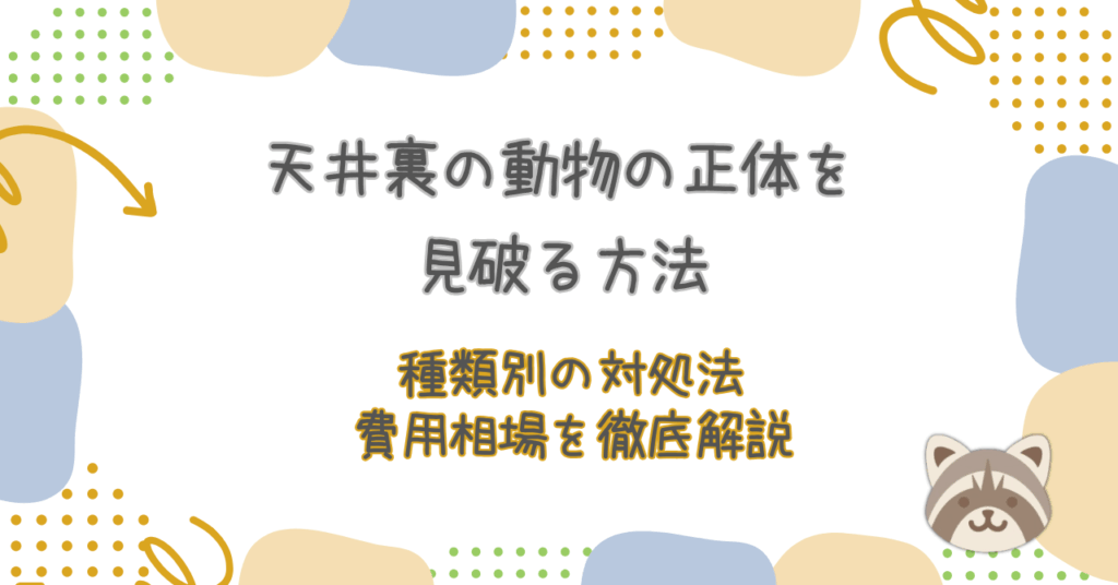 天井裏の動物の正体