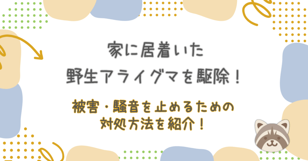 家に居着いた野生アライグマを駆除！被害・騒音を止めるための対処方法を紹介！
