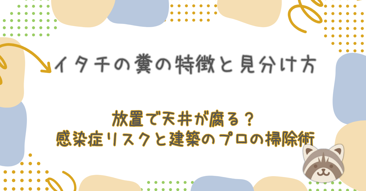 イタチの糞の特徴と見分け方｜放置で天井が腐る？感染症リスクと建築のプロの掃除術