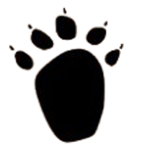 ハクビシンの足跡