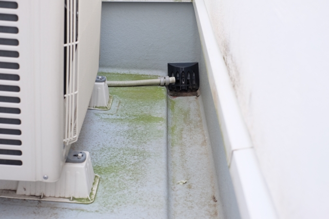 ドレインホース