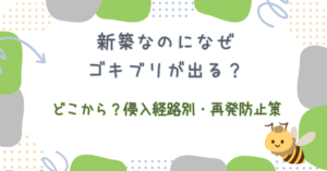 新築なのになぜゴキブリが出る？どこから？侵入経路別・再発防止策