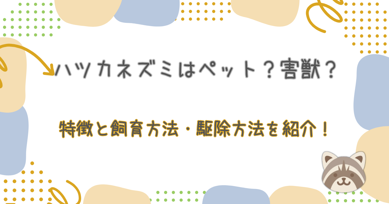 ハツカネズミはペット?害獣?特徴と飼育方法・駆除方法を紹介!