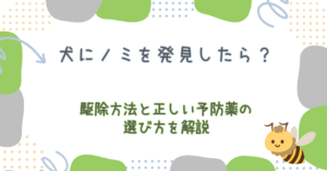 犬にノミを発見したら？駆除方法と正しい予防薬の選び方を解説