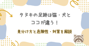 タヌキの足跡は猫・犬とココが違う！見分け方と危険性・対策を解説