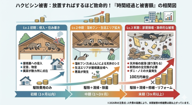 ハクビシン被害放置は致命的
