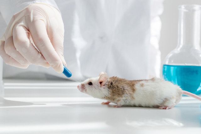 ハツカネズミ薬品