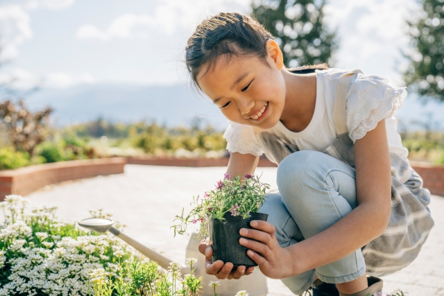 庭ガーデニング