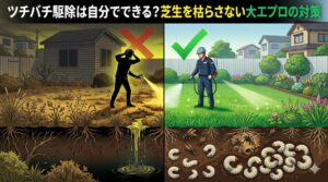 ツチバチ駆除は自分でできる？芝生を枯らさない大工プロの対策