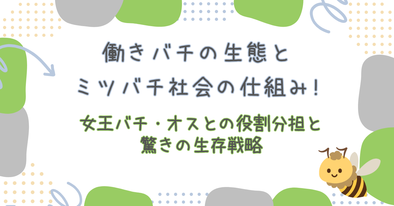 働きバチの生態とミツバチ社会の仕組み｜女王バチ・オスとの役割分担と驚きの生存戦略