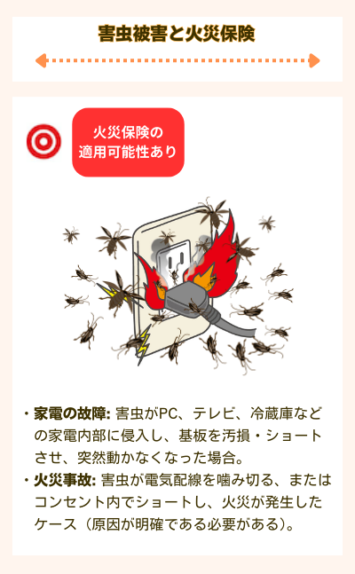 害虫被害で火災保険が適用される事例