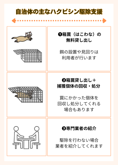 助成金のない場合：ハクビシン駆除支援