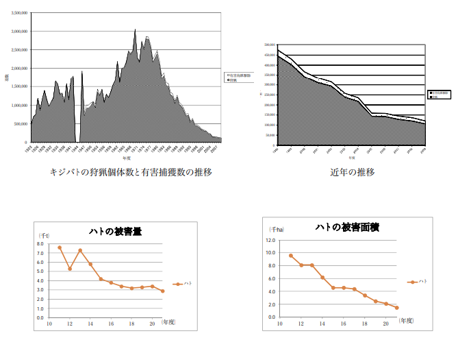 キジバトの狩猟個体数と有害捕獲数の推移