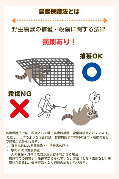 鳥獣保護法とは