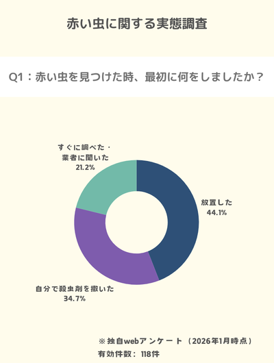 独自アンケート：79%の人が赤い虫に対する対応を誤っている。