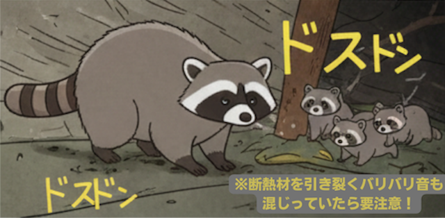 アライグマの足音の特徴！ドスドスは末期症状のサイン
