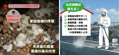 知らないと損！火災保険でアライグマの糞の清掃・修繕ができるケース