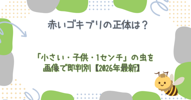 赤いゴキブリの正体は?「小さい・子供・1センチ」の虫を画像で即判別