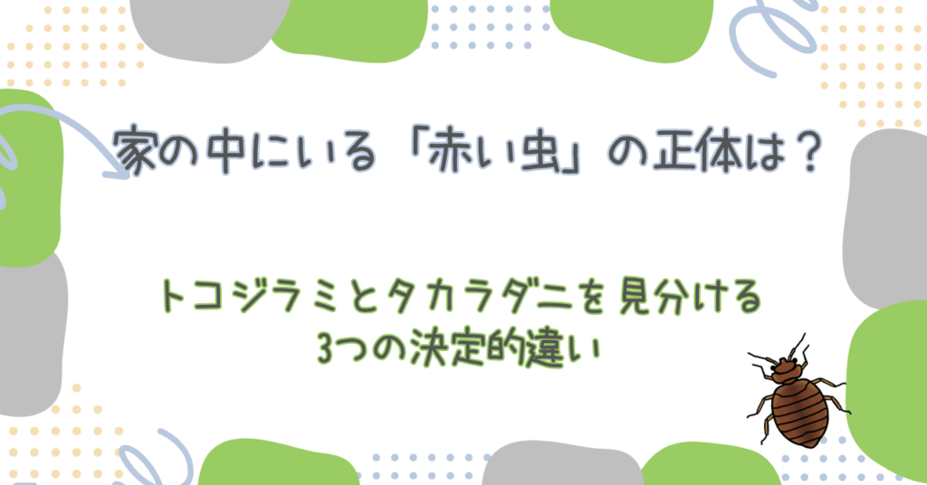 【2026最新】家の中にいる「赤い虫」の正体は？トコジラミとタカラダニを見分ける3つの決定的違い