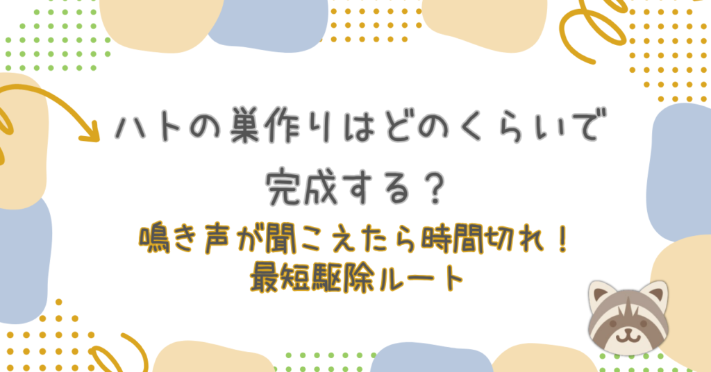 ハトの巣作りはどのくらいで完成する？鳴き声が聞こえたら時間切れ！2026年最新の最短駆除ルート