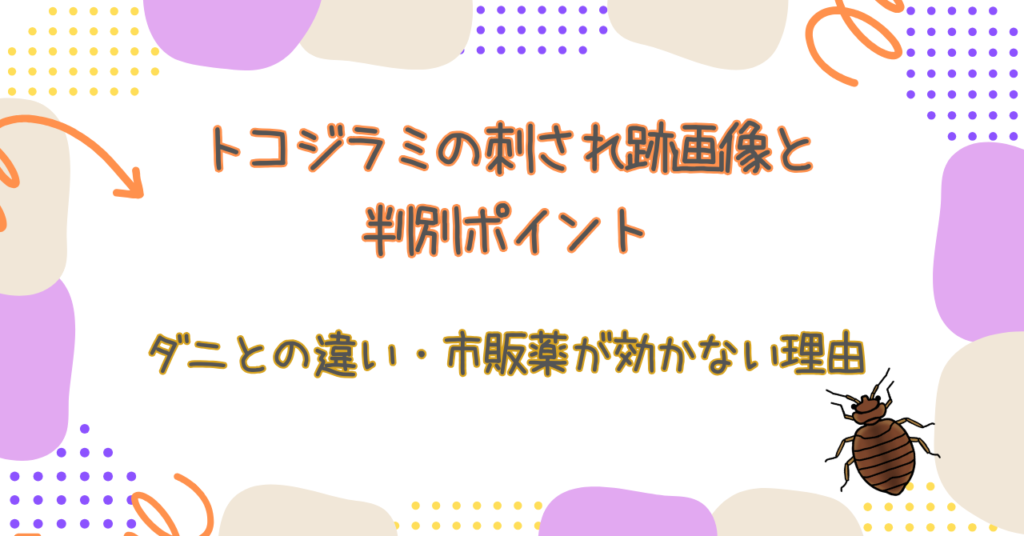 トコジラミの刺され跡画像と判別ポイント｜ダニとの違い・市販薬が効かない理由【2026最新】