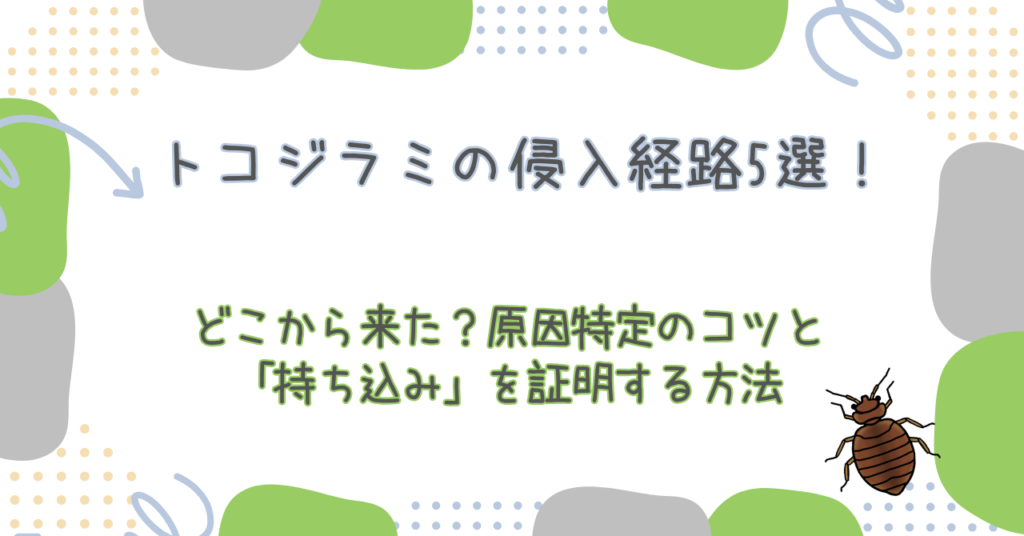 トコジラミの侵入経路5選！どこから来た？原因特定のコツと「持ち込み」を証明する方法
