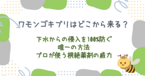 ワモンゴキブリはどこから来る？下水からの侵入を100%防ぐ唯一の方法と、プロが使う『根絶薬剤』の威力