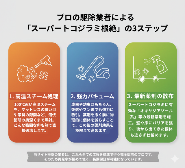 プロによる「スーパートコジラミ根絶」の現場工程