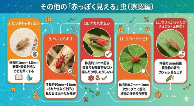 その他の赤っぽく見える虫5種（誤認編）