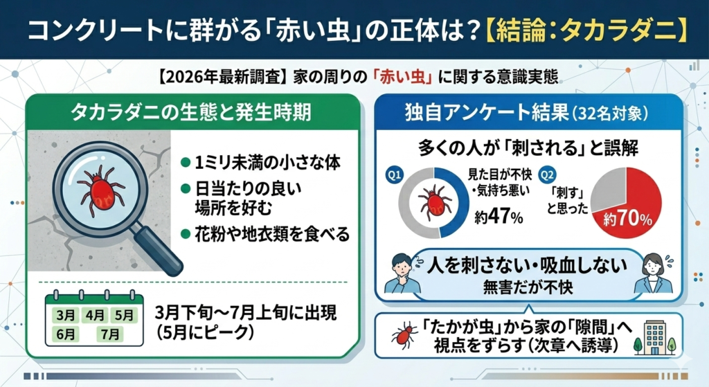 独自調査：コンクリートに群がる赤い虫はタカラダニ