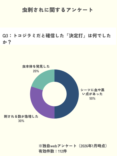 独自調査 虫刺され トコジラミ 確信