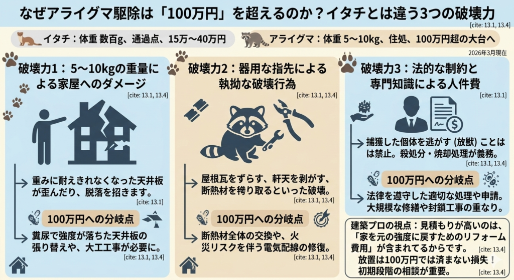 アライグマ駆除 100万円 家屋ダメージ 家屋破壊 断熱材 電気配線 住宅改修