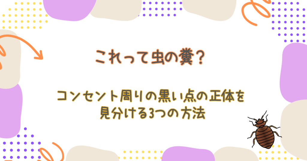 これって虫の糞？コンセント周りの黒い点の正体を見分ける3つの方法