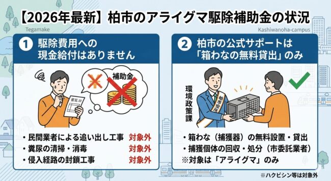 柏市のアライグマ駆除補助金(現金給付)の最新状況