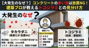 【大発生のなぜ？】コンクリートの赤い虫は放置NG！建築プロが教えるトコジラミとの見分け方