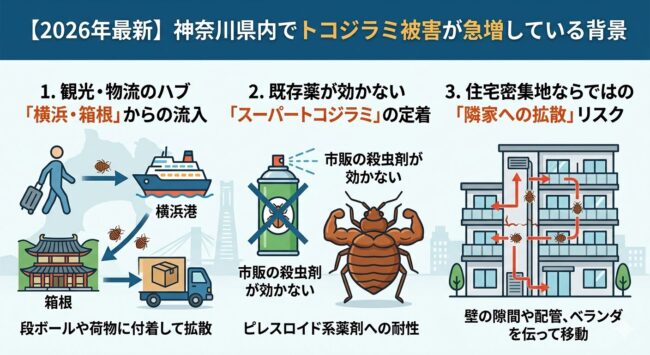 2026年、神奈川県内でトコジラミ被害が急増している背景