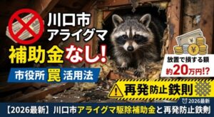 【2026最新】川口市のアライグマ駆除に補助金はある?市役所の「捕獲器貸出」活用法と、放置で20万損しないための鉄則