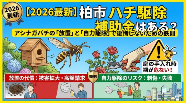 【2026最新】柏市のハチ駆除に補助金はある？アシナガバチの「放置」と「自力駆除」で後悔しないための鉄則｜庭の手入れ時期が危ない！