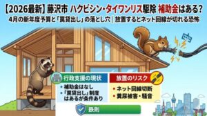 【2026最新】藤沢市のハクビシン・タイワンリス駆除に補助金はある？4月の新年度予算と「罠貸出し」の落とし穴｜放置するとネット回線が切れる恐怖