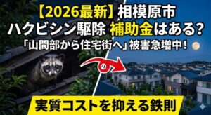 【2026最新】相模原市のハクビシン駆除に補助金はある？「山間部から住宅街へ」被害急増中の対策と実質コストを抑える鉄則