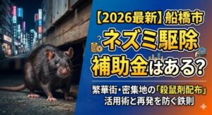 【2026最新】船橋市のネズミ駆除に補助金はある？繁華街・密集地の「殺鼠剤配布」活用術と再発を防ぐ鉄則
