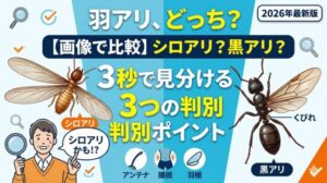 【画像で比較】その羽アリ、シロアリ？黒アリ？3秒で見分ける3つの判別ポイント｜2026年最新版
