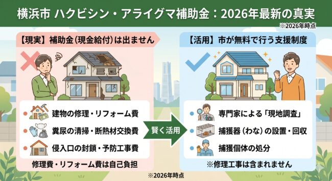 横浜市 ハクビシン・アライグマ補助金 2026年最新図解。現金給付の補助金はない(現実)。建物の修理、清掃、封鎖工事は自己負担。市が無料で行うのは、専門家による現地調査、捕獲器(わな)の設置・回収、個体の処分(活用)。自己負担実質0円を目指すための賢い活用ルート。※2026年時点
