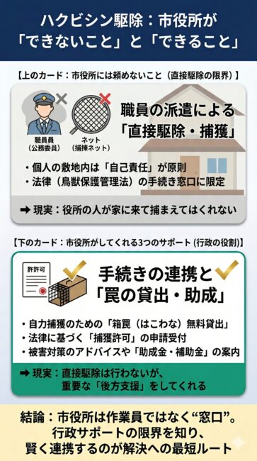 ハクビシン被害に直面した際の自治体・市役所の実際の役割とサポート限界を分かりやすく解説した図解イラスト。職員を自宅に派遣して直接捕獲や駆除作業を行ってくれるわけではないという「行政の限界（私有地管理の原則）」に対し、鳥獣保護管理法に基づく捕獲許可の申請受付、箱罠（はこわな）の無料貸出しや購入助成金の案内、被害対策の情報提供といった「3つの重要な後方支援」の仕組み