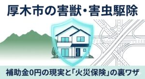 【2026年最新】厚木市のトコジラミ・ハクビシン駆除費用相場！市役所の補助金実態と「火災保険」で実質0円根絶する大工プロの裏ワザ