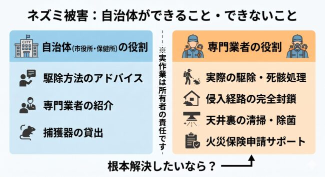 千葉県や各市役所はネズミを駆除してくれるのか？【自治体サポート一覧】
